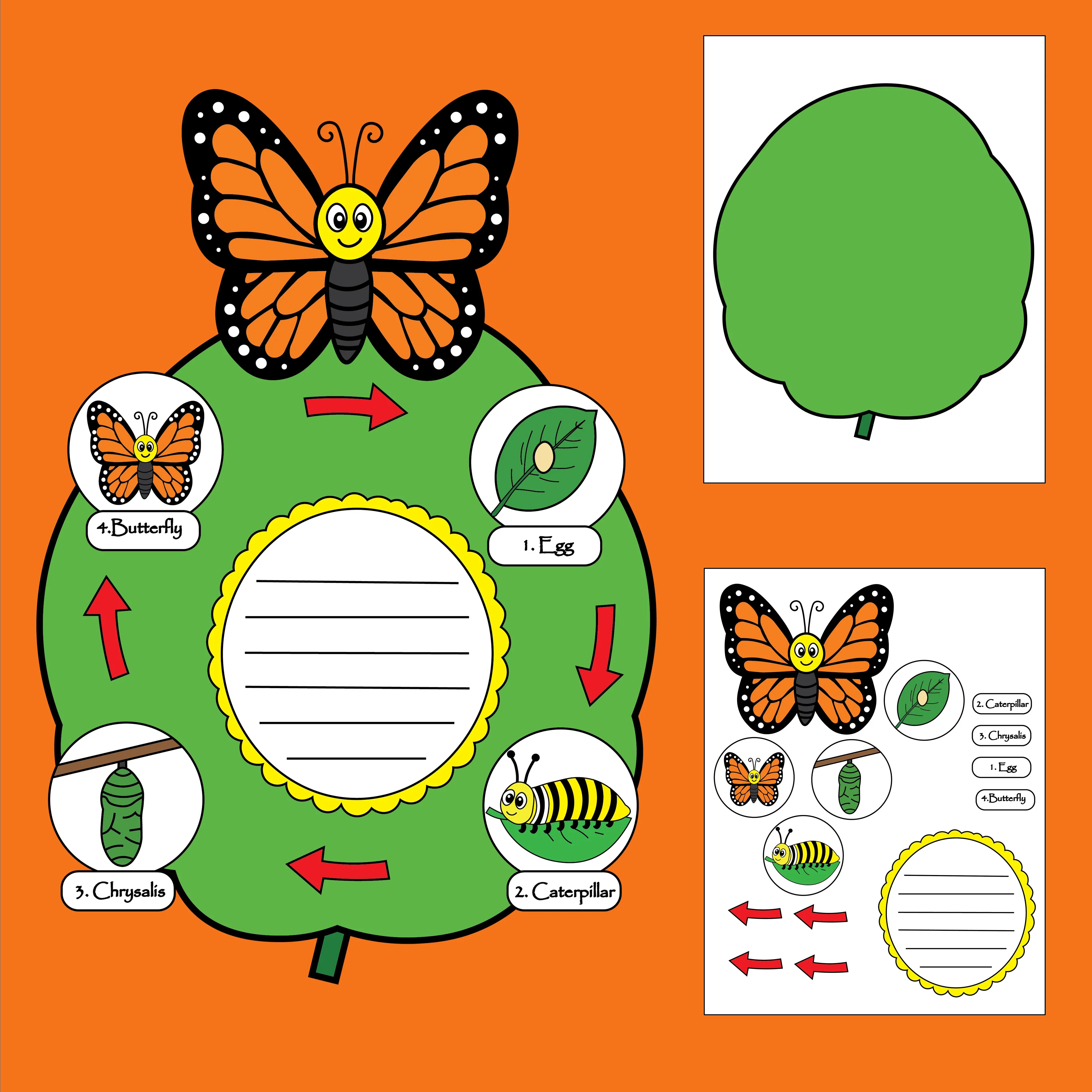 Butterfly Life Cycle Craft – Fun Spring Science Activity for Kids