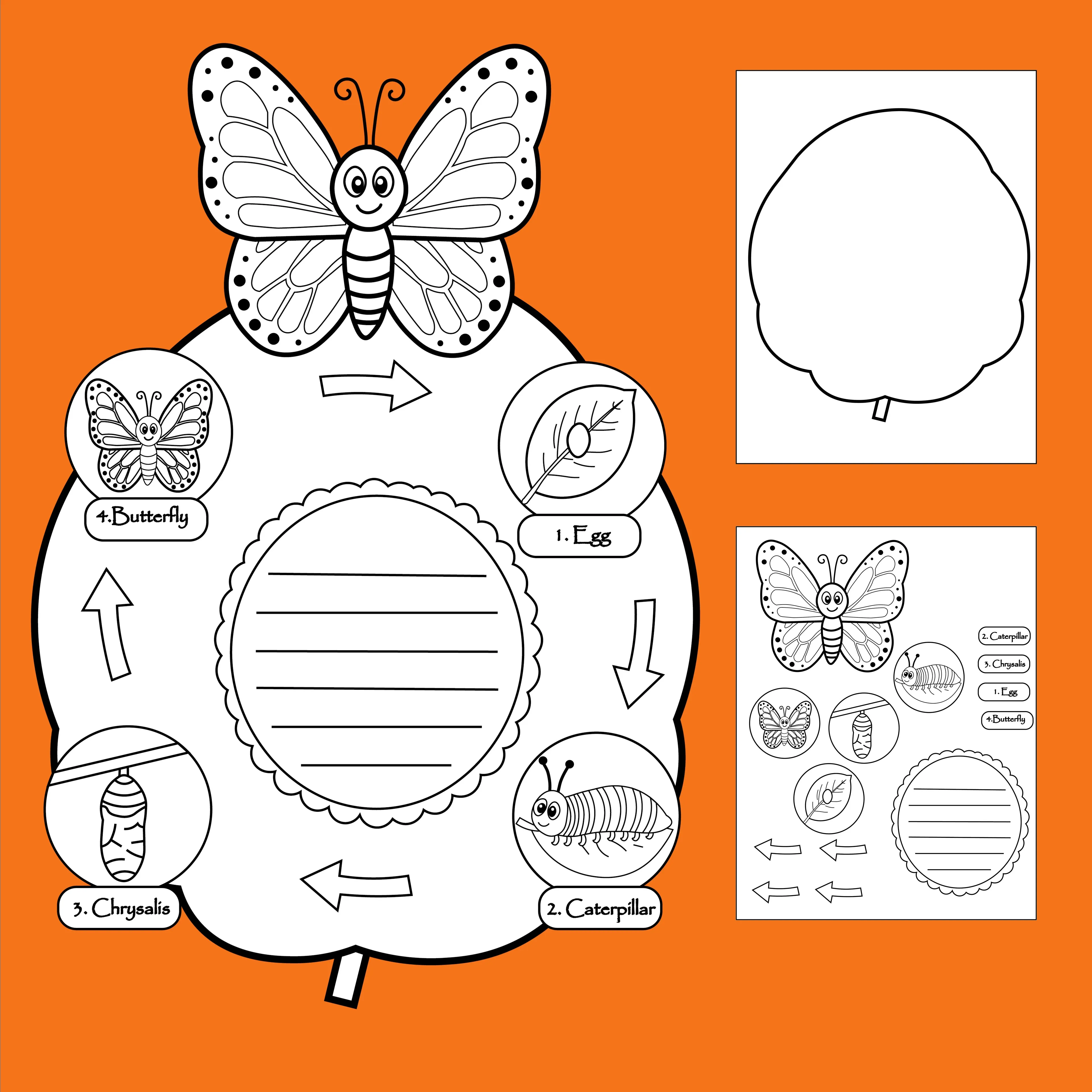 Butterfly Life Cycle Craft – Fun Spring Science Activity for Kids
